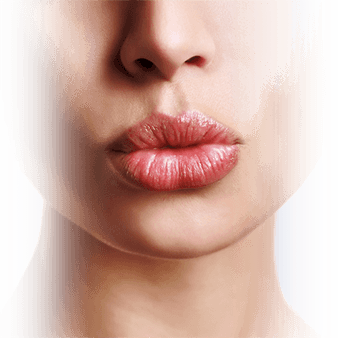lip enhancement model